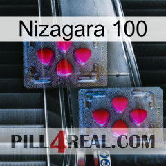 Nizagara 100 14